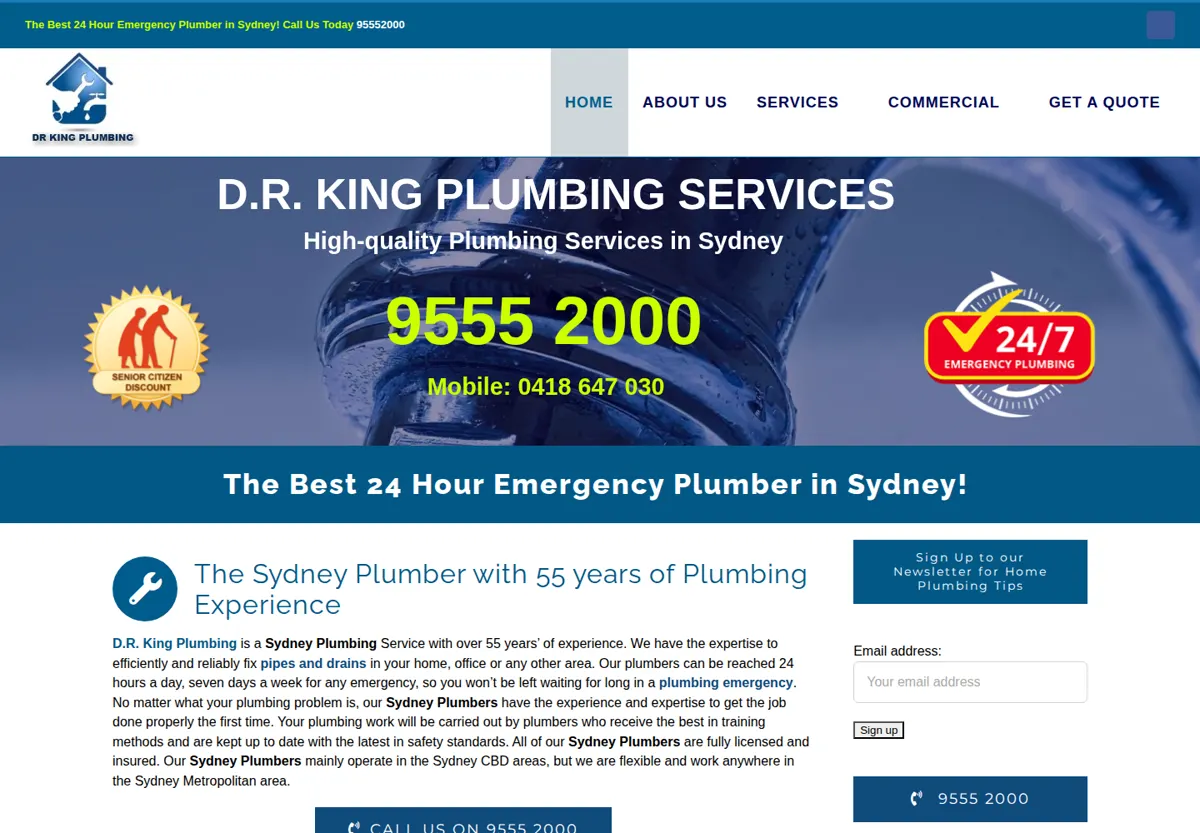 Before screenshot for Dr King plumbing service